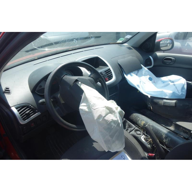 Calandre PEUGEOT 206+ Photo n°7
