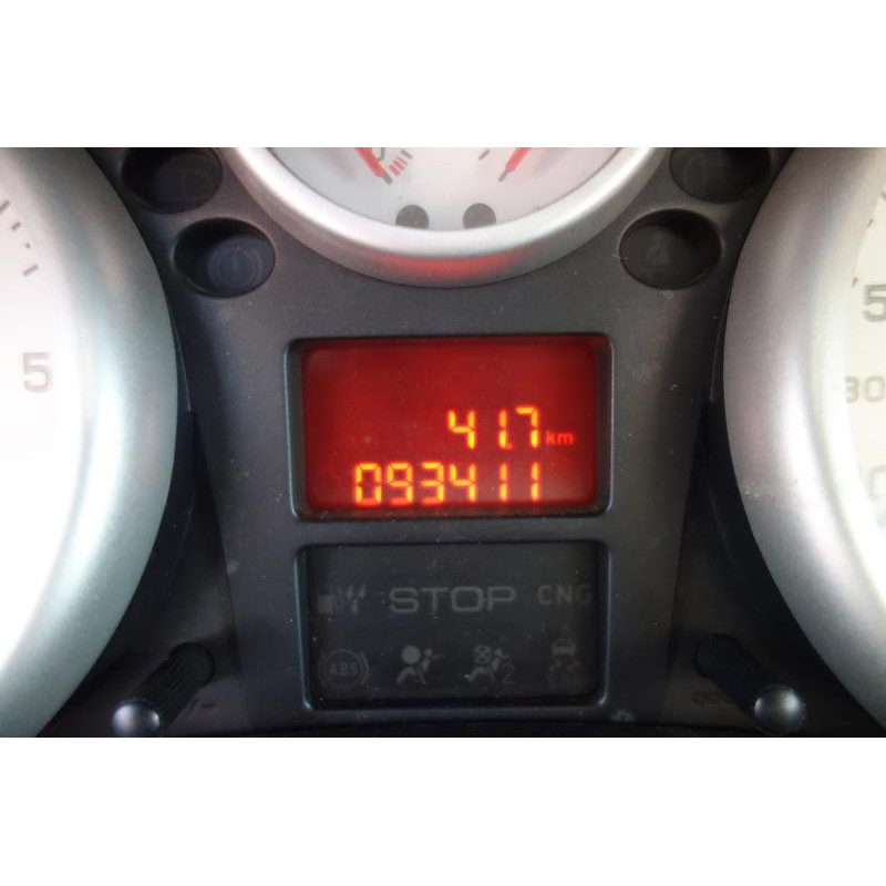 Calandre PEUGEOT 206+ Photo n°9