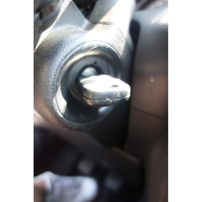 Calandre PEUGEOT 206+ Photo n°10