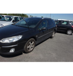 Porte arriere gauche PEUGEOT 407