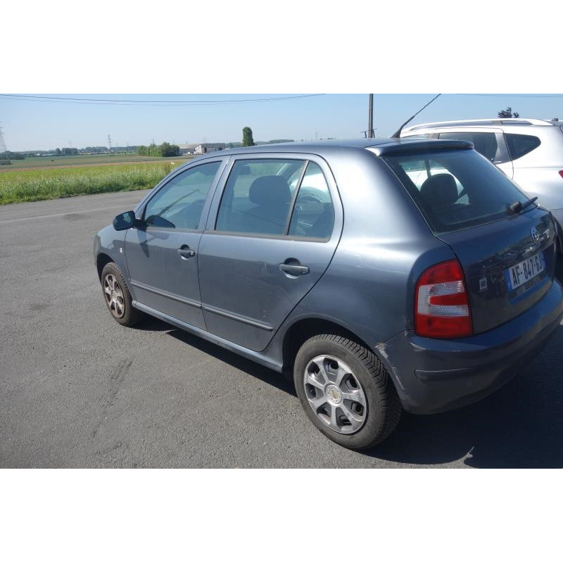 Porte arriere gauche SKODA FABIA 1 Photo n°3