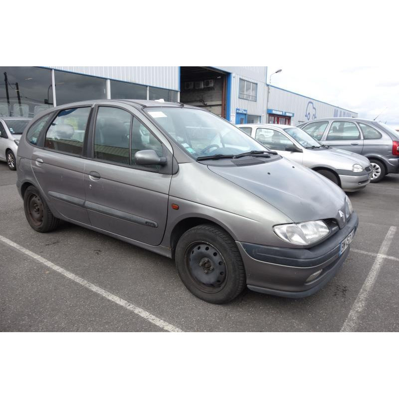 Calandre RENAULT SCENIC 1 Photo n°6