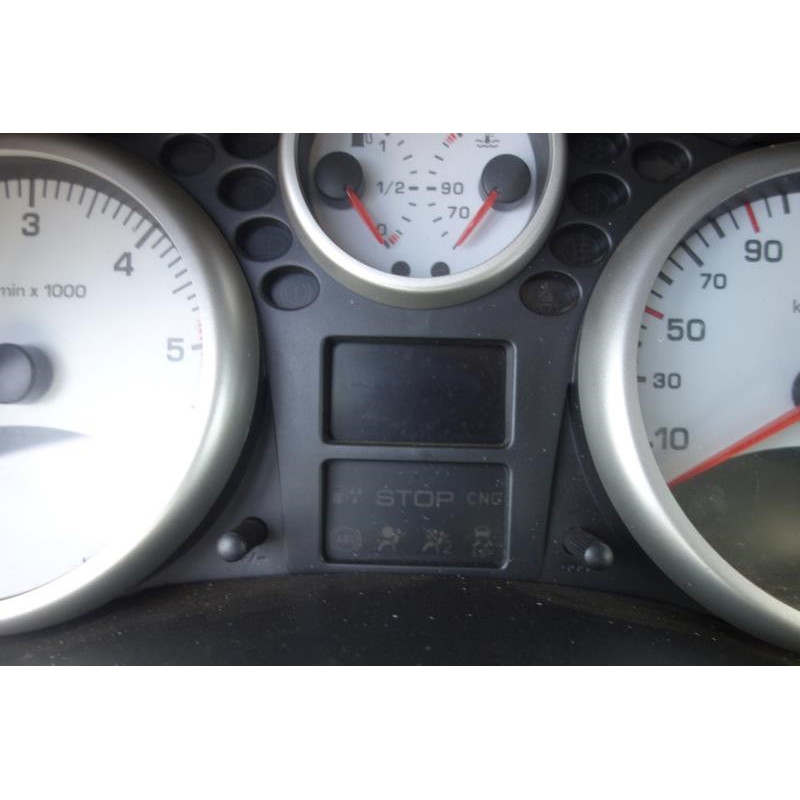 Sigle de calandre PEUGEOT 206+ Photo n°4
