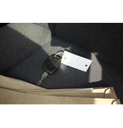 Malle/Hayon arriere RENAULT CLIO 2