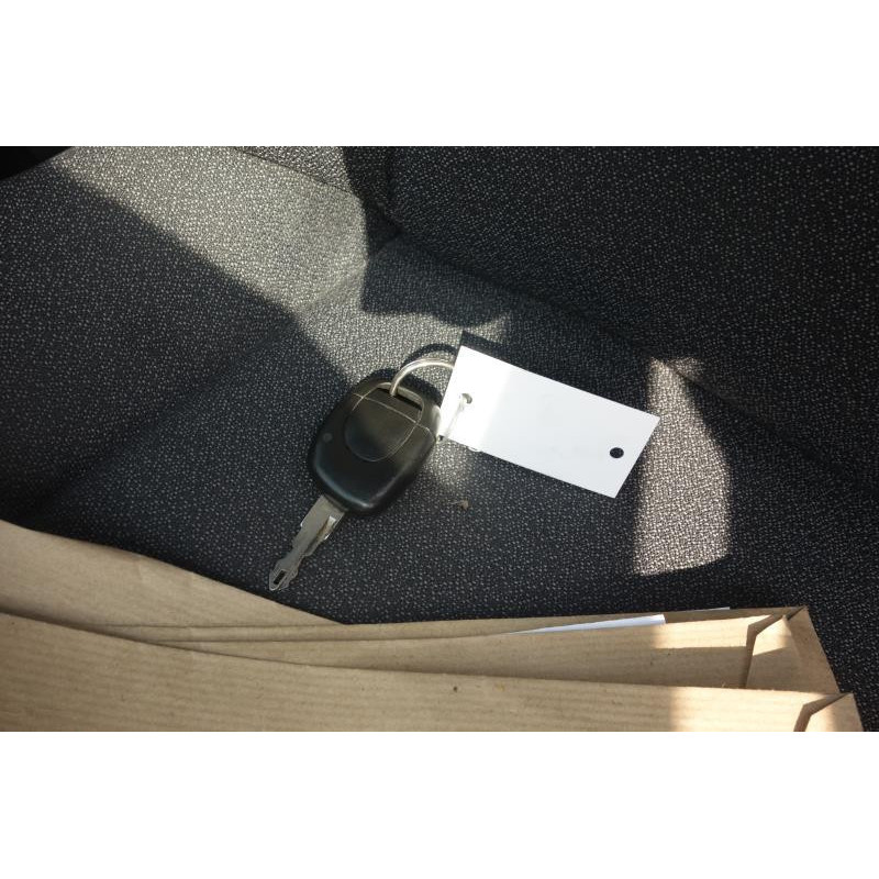 Malle/Hayon arriere RENAULT CLIO 2 Photo n°12
