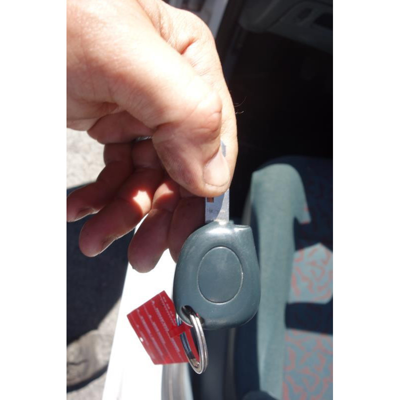 Bouton de warning RENAULT MEGANE 1 Photo n°14