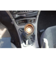Porte arriere gauche RENAULT LAGUNA 2