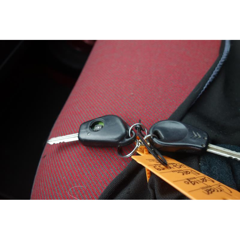 Porte avant gauche CITROEN BERLINGO 1 Photo n°10