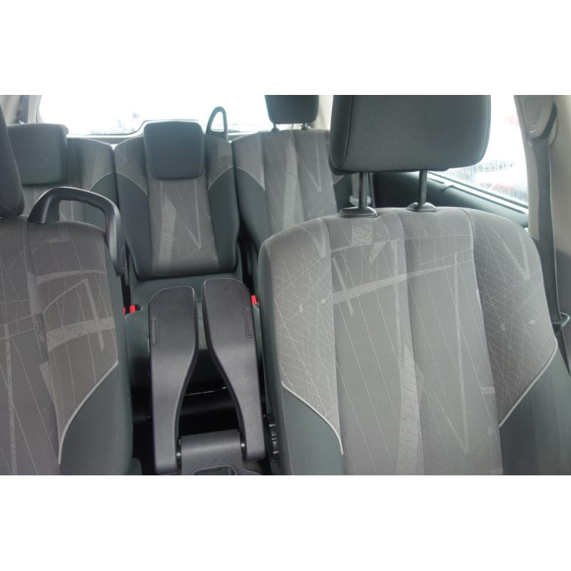 Porte arriere gauche RENAULT GRAND SCENIC 2 Photo n°10