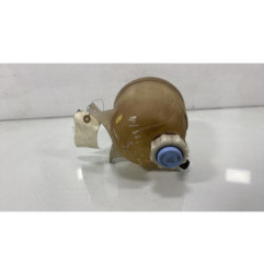 Vase d'expansion RENAULT SCENIC 1 Photo n°1