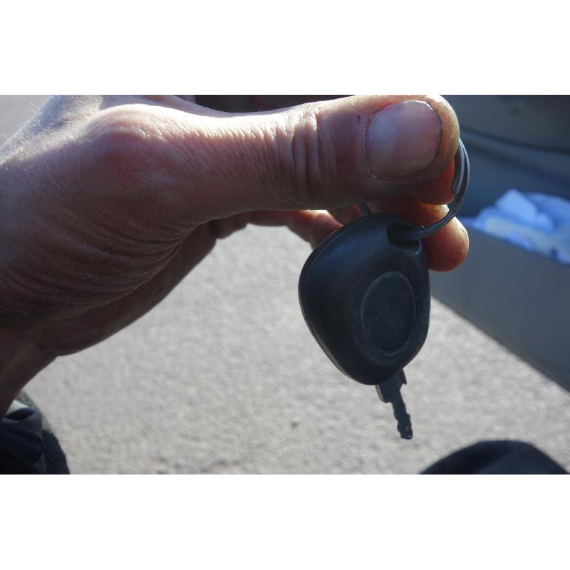 Porte avant droit RENAULT SCENIC 1 Photo n°6
