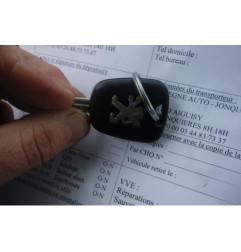 Custode arriere gauche PEUGEOT PARTNER 1