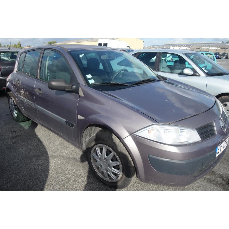 Porte avant gauche RENAULT MEGANE 2 Photo n°4