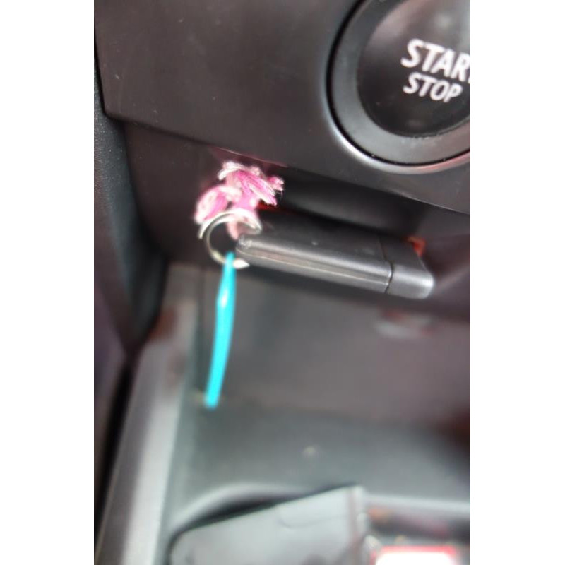 Porte avant gauche RENAULT MEGANE 2 Photo n°10