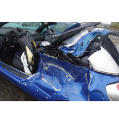 Malle/Hayon arriere CITROEN C3 PLURIEL