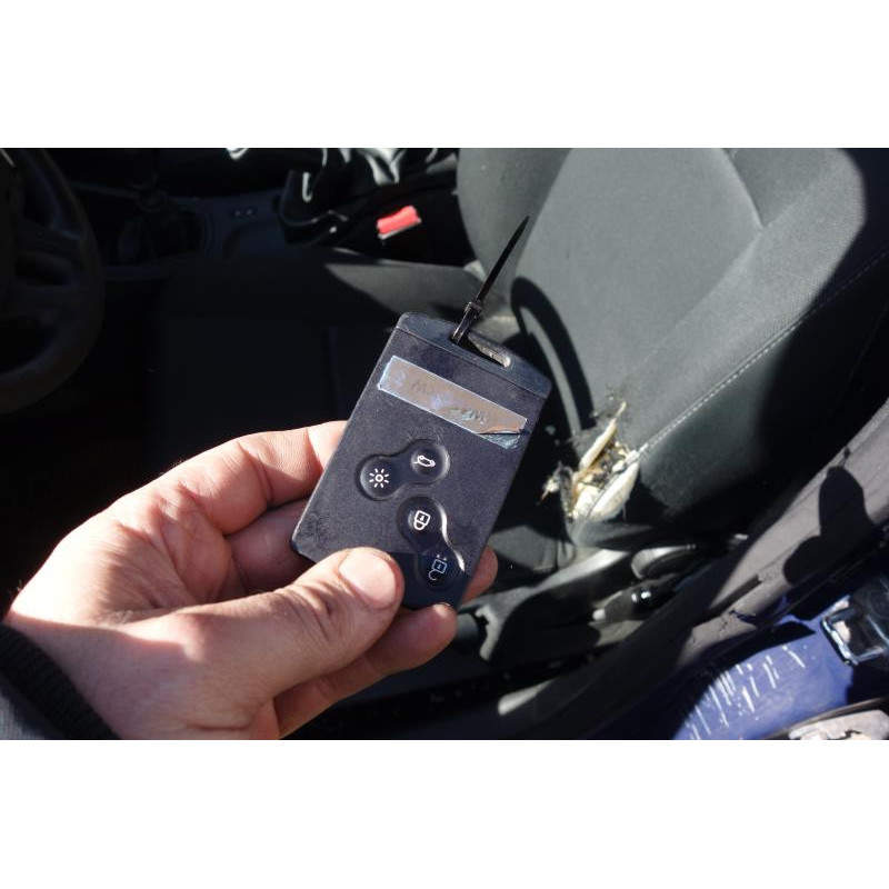 Porte arriere gauche RENAULT MEGANE 3 Photo n°13