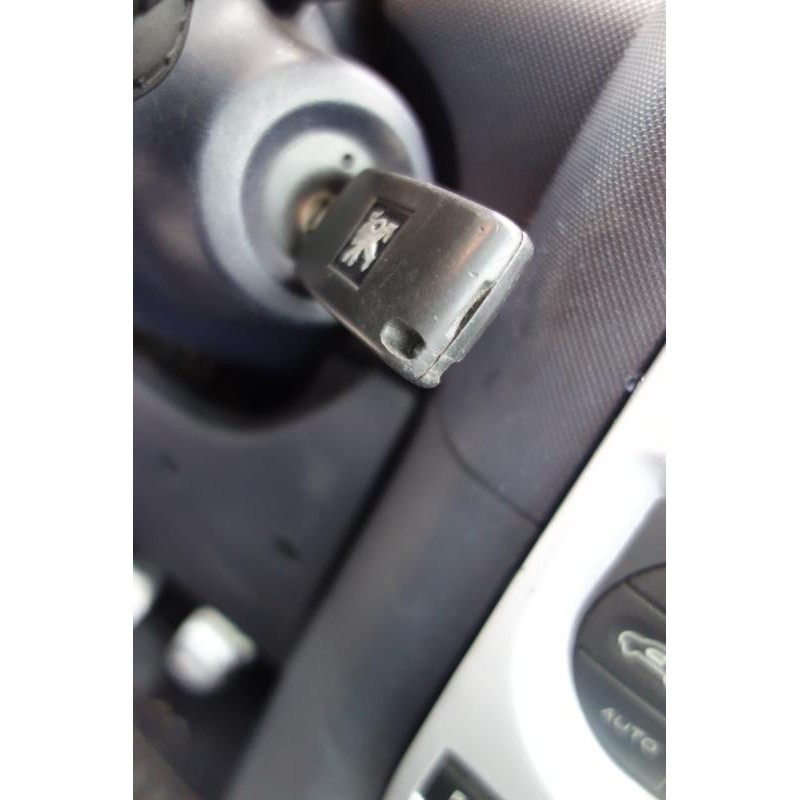 Capot PEUGEOT 1007 Photo n°8