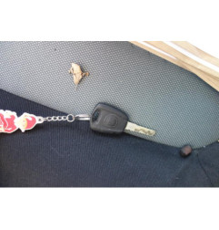 Porte avant droit FIAT GRANDE PUNTO