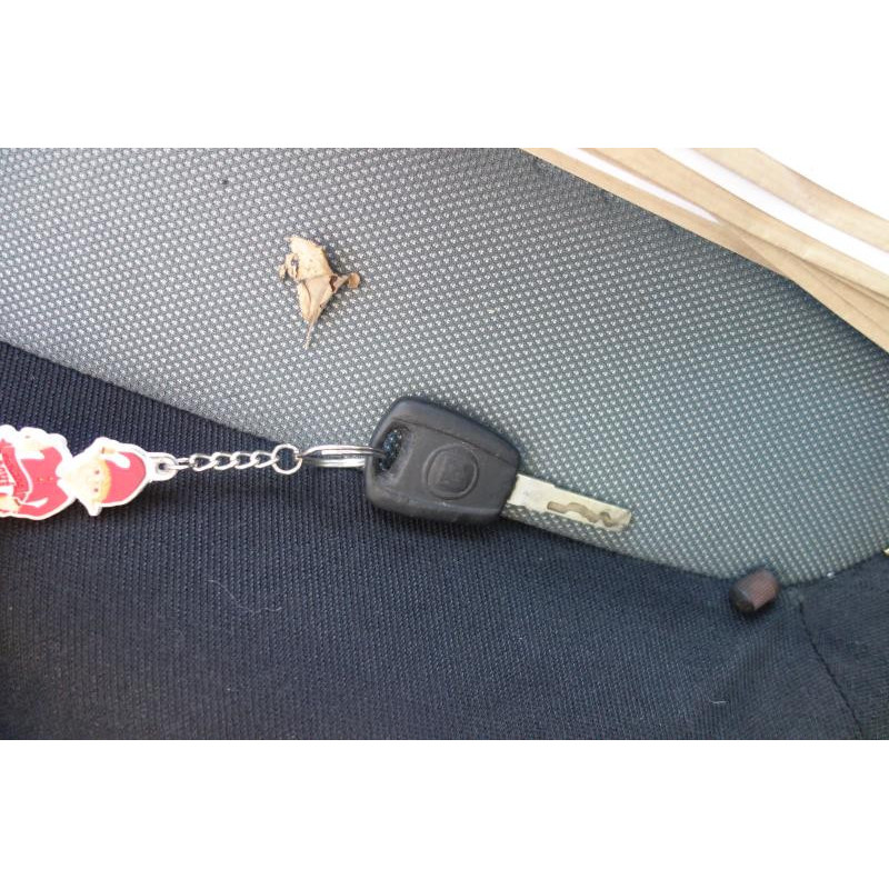 Porte avant droit FIAT GRANDE PUNTO Photo n°10