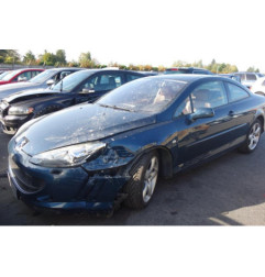 Malle/Hayon arriere PEUGEOT 407