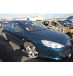 Malle/Hayon arriere PEUGEOT 407