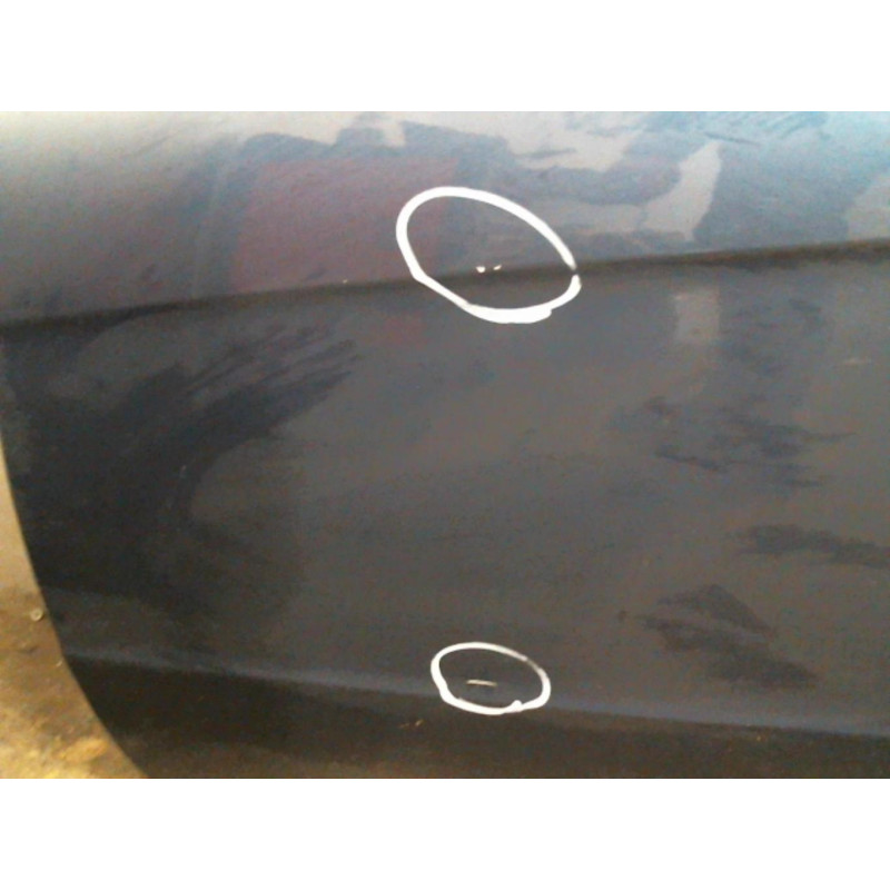 Porte avant gauche MERCEDES CLASSE A 169 Photo n°6