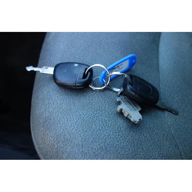 Porte de coffre gauche RENAULT KANGOO 1 Photo n°8