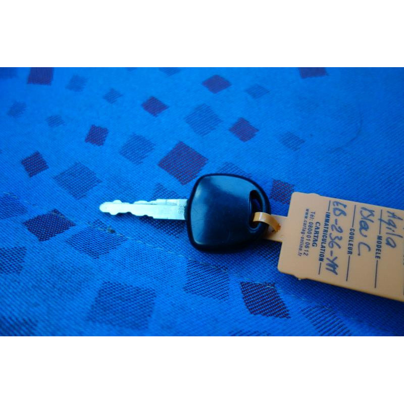 Porte arriere gauche OPEL AGILA A Photo n°14