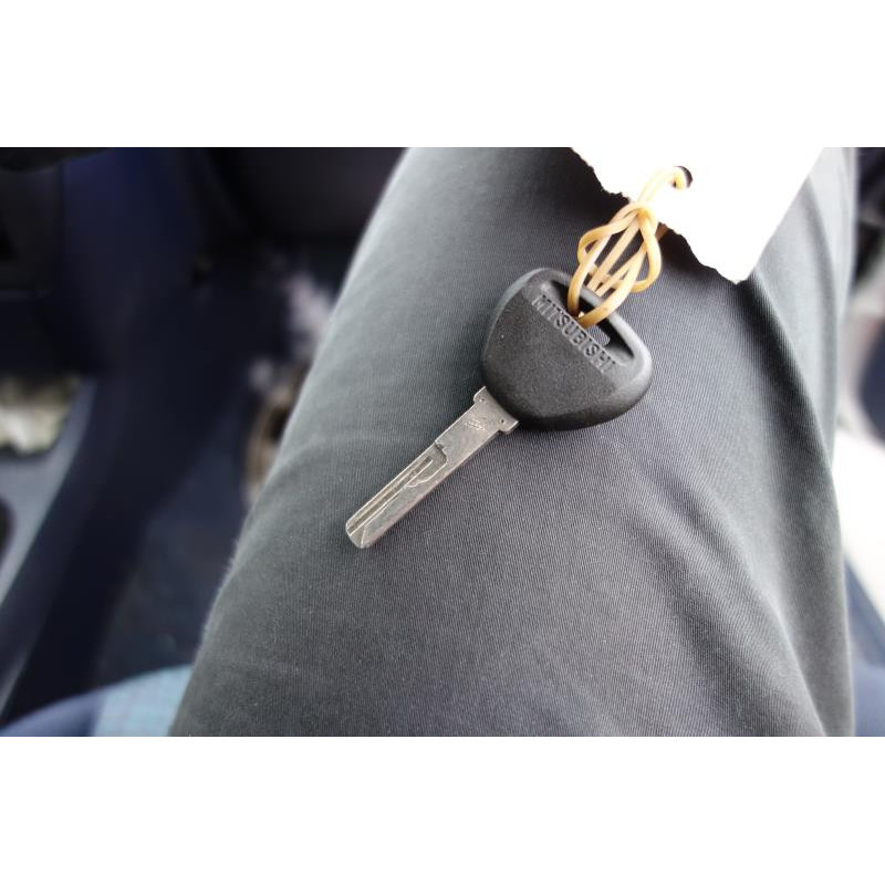Porte arriere gauche MITSUBISHI CARISMA Photo n°9
