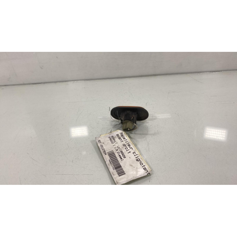 Repetiteur clignotant avant droit  (Feux) RENAULT KANGOO 1 Photo n°3