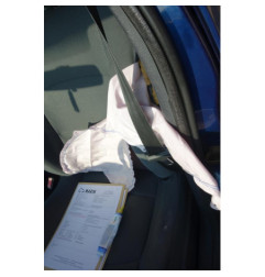 Porte arriere gauche RENAULT CLIO 2