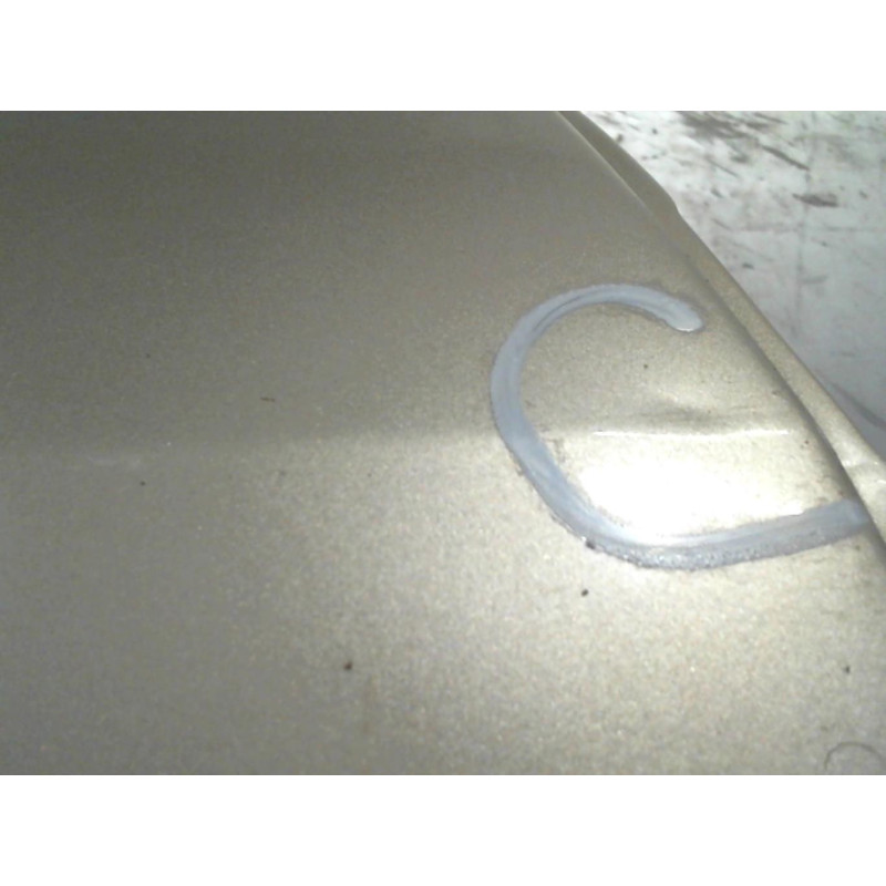 Porte arriere droit RENAULT MODUS Photo n°3