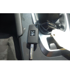 Charniere de hayon PEUGEOT 3008 1
