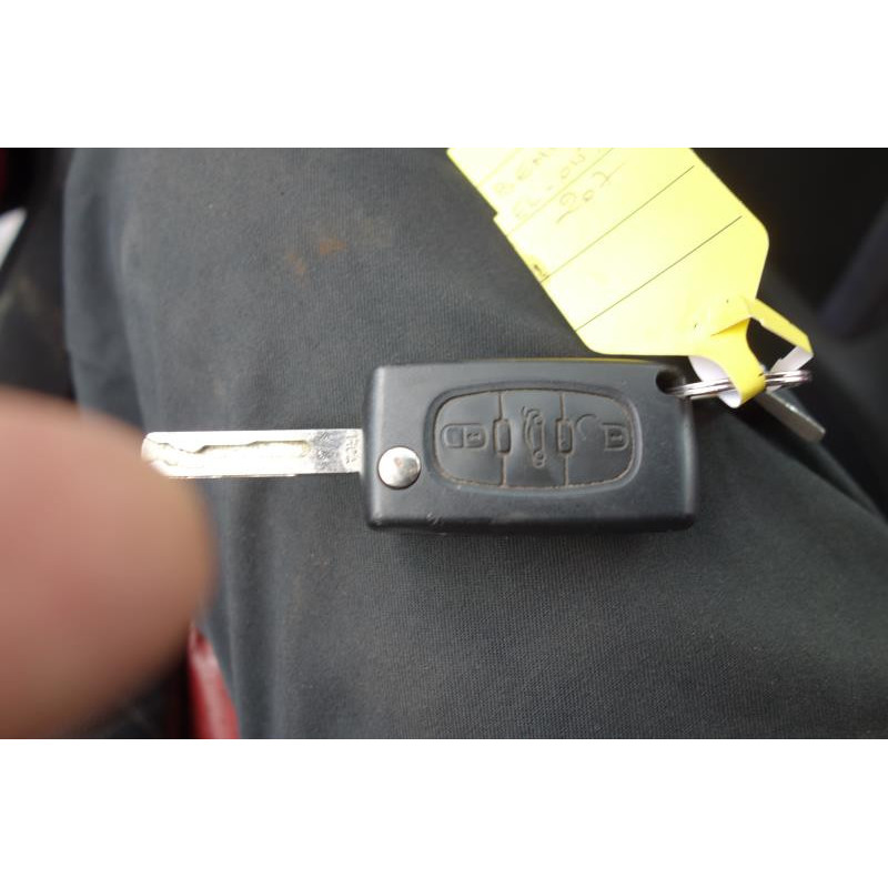 Custode arriere droit PEUGEOT 207 Photo n°9