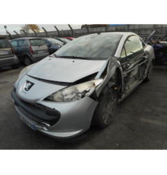 Custode arriere gauche PEUGEOT 207