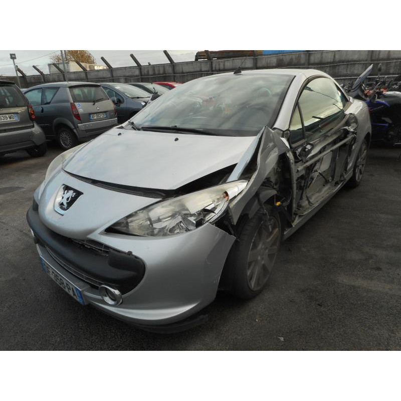 Custode arriere gauche PEUGEOT 207 Photo n°1