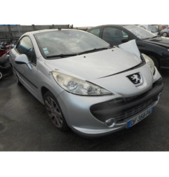 Custode arriere gauche PEUGEOT 207