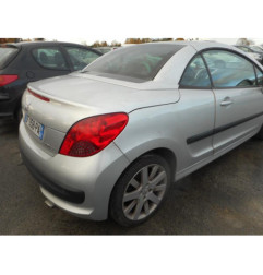 Custode arriere gauche PEUGEOT 207