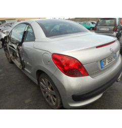 Custode arriere gauche PEUGEOT 207