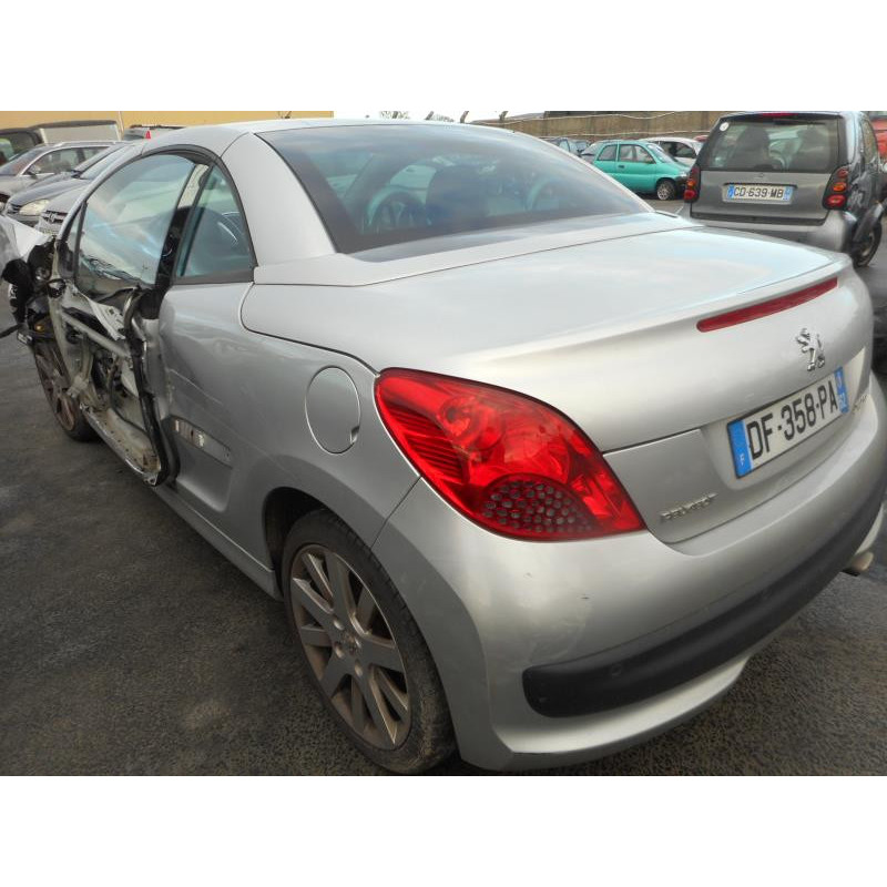Custode arriere gauche PEUGEOT 207 Photo n°5
