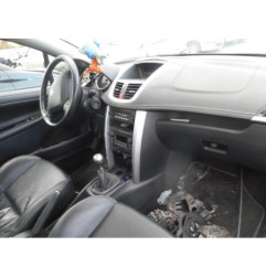 Custode arriere gauche PEUGEOT 207