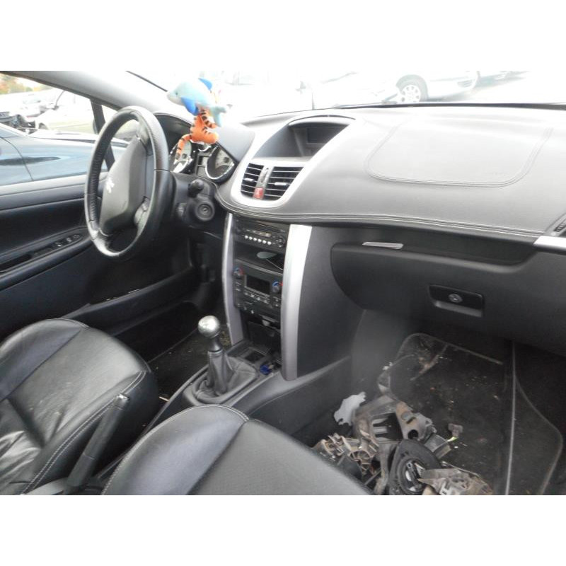 Custode arriere gauche PEUGEOT 207 Photo n°7