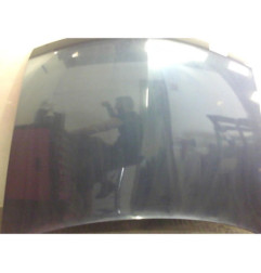 Capot RENAULT VEL SATIS Photo n°1
