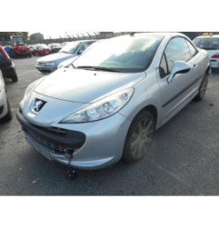 Custode arriere gauche PEUGEOT 207