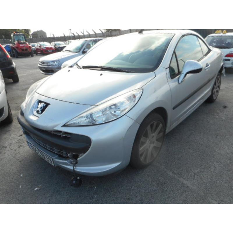 Custode arriere gauche PEUGEOT 207 Photo n°1