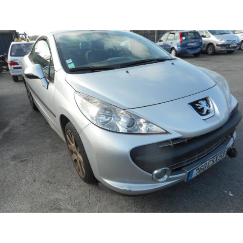 Custode arriere gauche PEUGEOT 207 Photo n°3