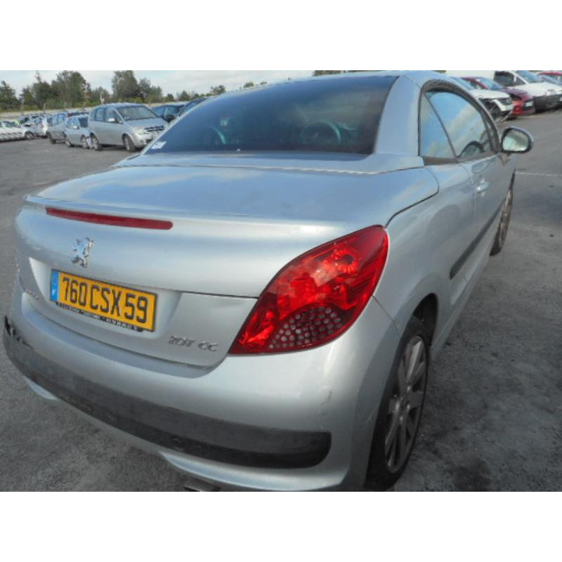 Custode arriere gauche PEUGEOT 207 Photo n°4