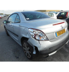 Custode arriere gauche PEUGEOT 207
