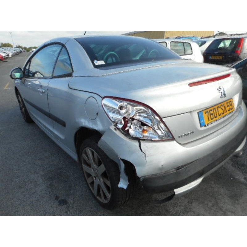 Custode arriere gauche PEUGEOT 207 Photo n°5
