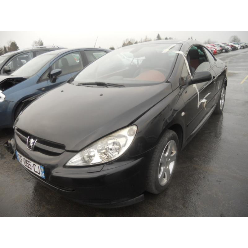 Malle/Hayon arriere PEUGEOT 307 Photo n°15